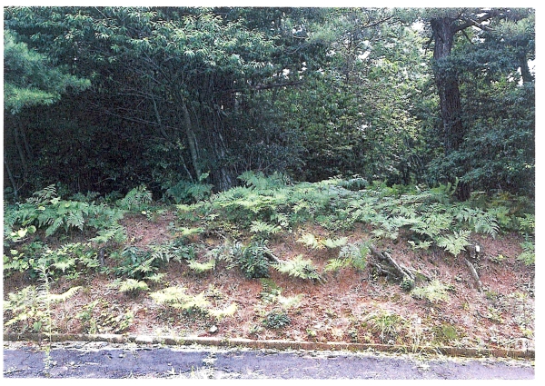 土地　鳳珠郡穴水町